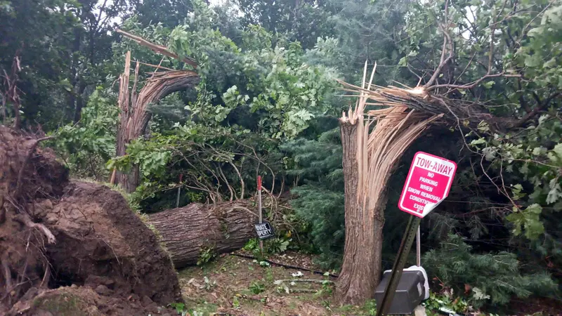 Tree crew safely removing a massive fallen tree limb from a residential garage roof in Royal Oak following storm damage.
