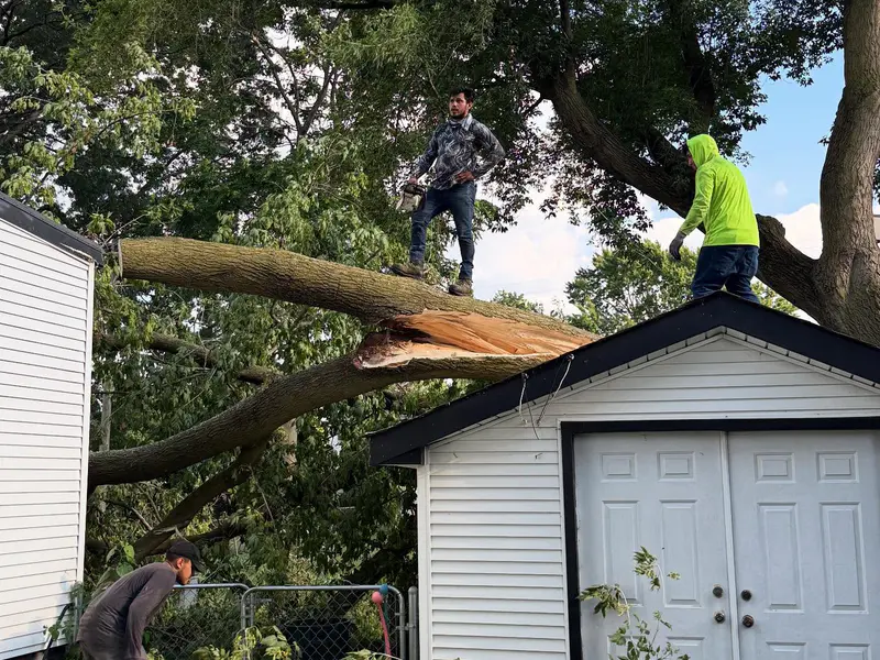 Tree service crew removing a large fallen tree limb from a white garage roof following storm damage in Royal Oak, Michigan.