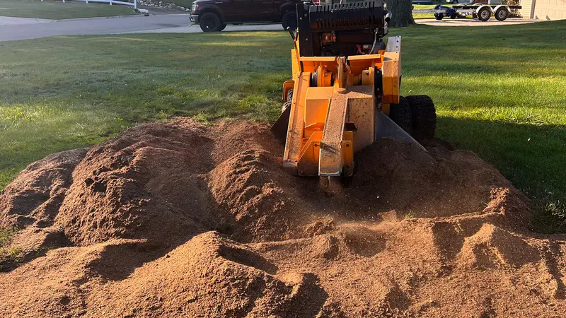 Commercial stump grinder turning a large tree stump into wood chips below lawn level in Berlin, Michigan.